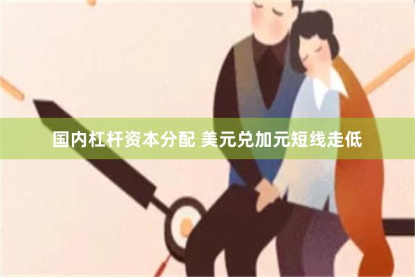 国内杠杆资本分配 美元兑加元短线走低