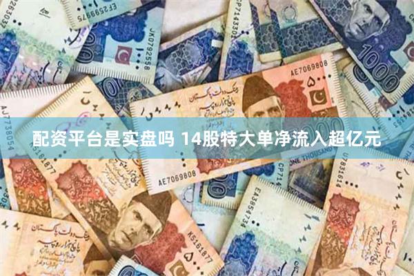 配资平台是实盘吗 14股特大单净流入超亿元