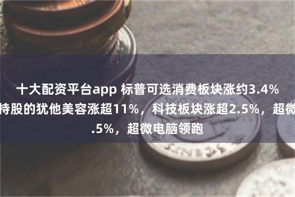 十大配资平台app 标普可选消费板块涨约3.4%，巴菲特持股的犹他美容涨超11%，科技板块涨超2.5%，超微电脑领跑