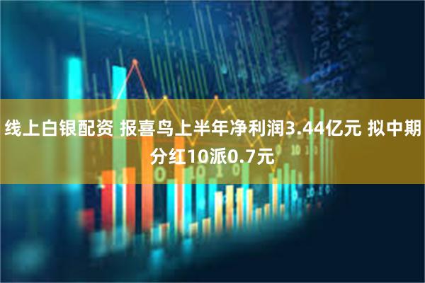 线上白银配资 报喜鸟上半年净利润3.44亿元 拟中期分红10派0.7元