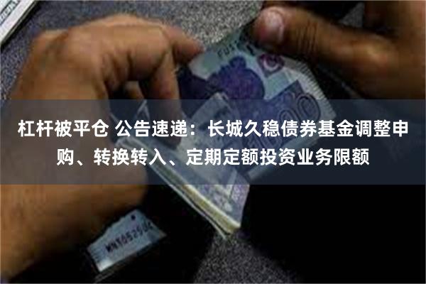 杠杆被平仓 公告速递：长城久稳债券基金调整申购、转换转入、定期定额投资业务限额
