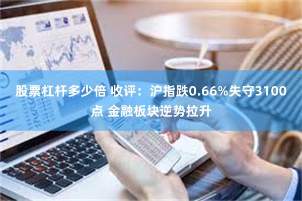 股票杠杆多少倍 收评：沪指跌0.66%失守3100点 金融板块逆势拉升
