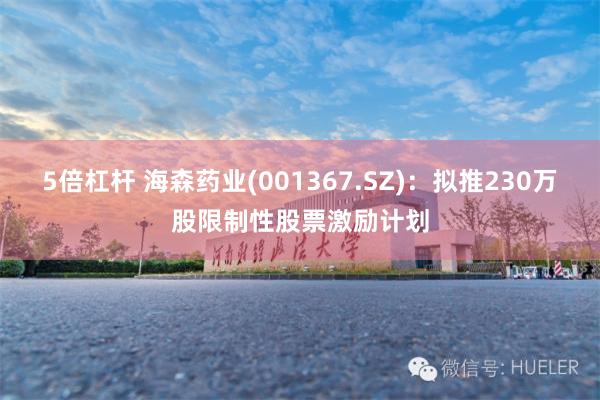 5倍杠杆 海森药业(001367.SZ)：拟推230万股限制性股票激励计划