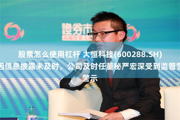 股票怎么使用杠杆 大恒科技(600288.SH)：因信息披露未及时，公司及时任董秘严宏深受到监管警示