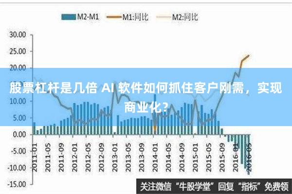 股票杠杆是几倍 AI 软件如何抓住客户刚需，实现商业化？