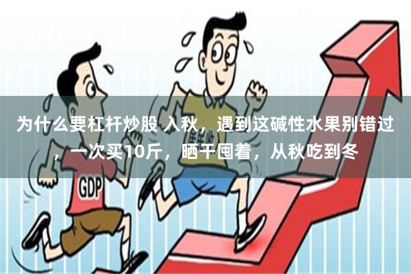 为什么要杠杆炒股 入秋，遇到这碱性水果别错过，一次买10斤，晒干囤着，从秋吃到冬