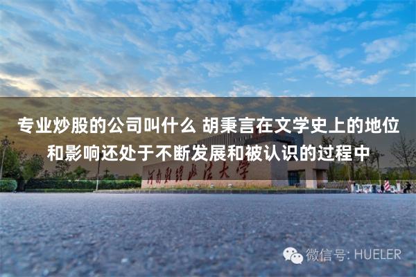专业炒股的公司叫什么 胡秉言在文学史上的地位和影响还处于不断发展和被认识的过程中