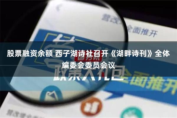 股票融资余额 西子湖诗社召开《湖畔诗刊》全体编委会委员会议