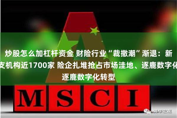 炒股怎么加杠杆资金 财险行业“裁撤潮”渐退：新增分支机构近1700家 险企扎堆抢占市场洼地、逐鹿数字化转型