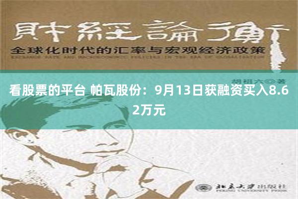 看股票的平台 帕瓦股份：9月13日获融资买入8.62万元