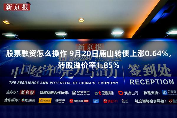 股票融资怎么操作 9月20日鹿山转债上涨0.64%，转股溢价率1.85%