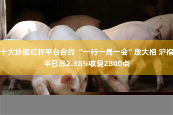 十大炒股杠杆平台合约 “一行一局一会”放大招 沪指半日涨2.38%收复2800点