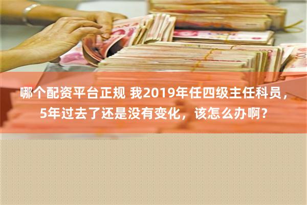 哪个配资平台正规 我2019年任四级主任科员，5年过去了还是没有变化，该怎么办啊？