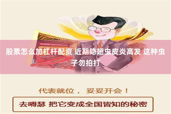 股票怎么加杠杆配资 近期隐翅虫皮炎高发 这种虫子勿拍打