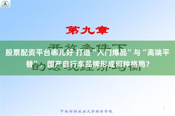股票配资平台哪儿好 打造“入门爆品”与“高端平替”，国产自行车品牌形成何种格局？
