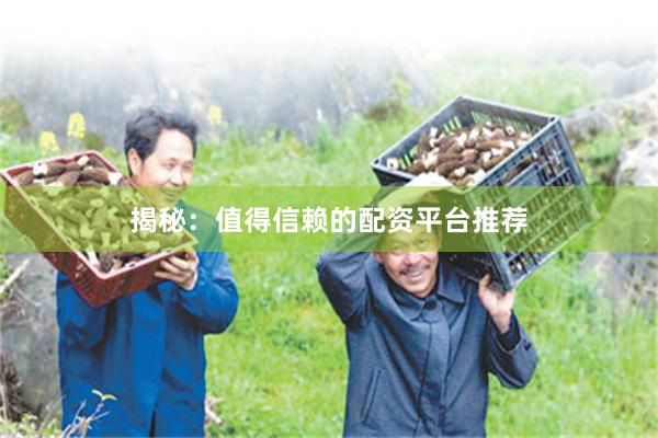 揭秘：值得信赖的配资平台推荐