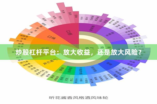 炒股杠杆平台：放大收益，还是放大风险？