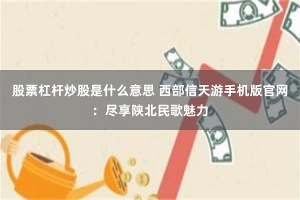 股票杠杆炒股是什么意思 西部信天游手机版官网：尽享陕北民歌魅力