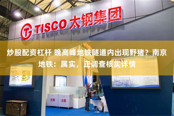 炒股配资杠杆 晚高峰地铁隧道内出现野猪？南京地铁：属实，正调查核实详情