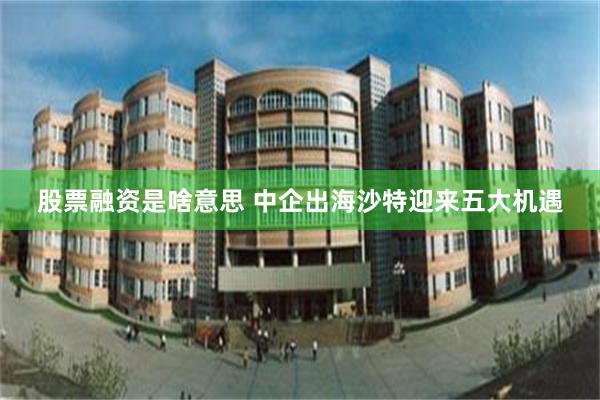 股票融资是啥意思 中企出海沙特迎来五大机遇