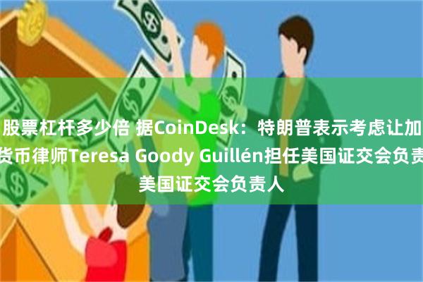 股票杠杆多少倍 据CoinDesk：特朗普表示考虑让加密货币律师Teresa Goody Guillén担任美国证交会负责人