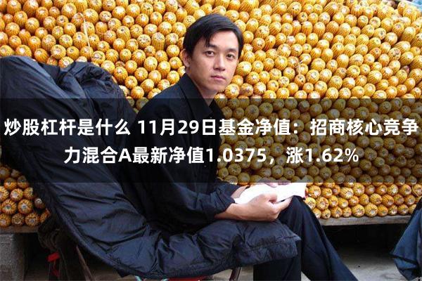 炒股杠杆是什么 11月29日基金净值：招商核心竞争力混合A最新净值1.0375，涨1.62%