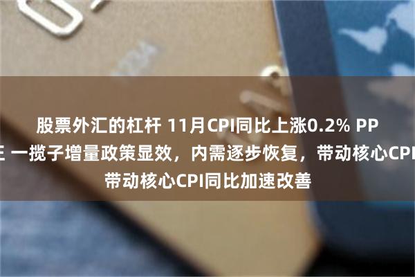 股票外汇的杠杆 11月CPI同比上涨0.2% PPI环比增速转正 一揽子增量政策显效，内需逐步恢复，带动核心CPI同比加速改善