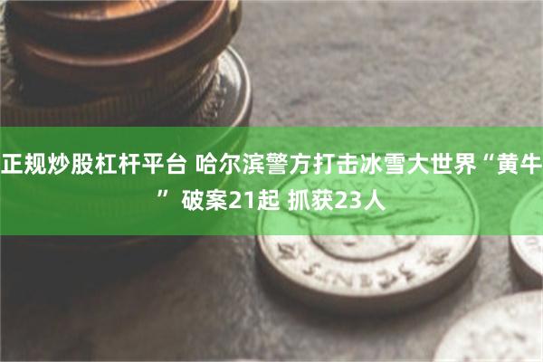 正规炒股杠杆平台 哈尔滨警方打击冰雪大世界“黄牛” 破案21起 抓获23人