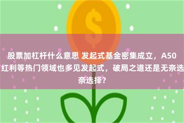股票加杠杆什么意思 发起式基金密集成立，A500、红利等热门领域也多见发起式，破局之道还是无奈选择？