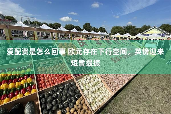 爱配资是怎么回事 欧元存在下行空间，英镑迎来短暂提振