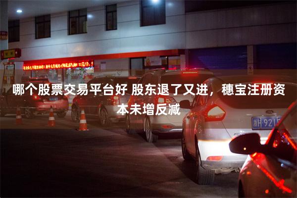 哪个股票交易平台好 股东退了又进，穗宝注册资本未增反减