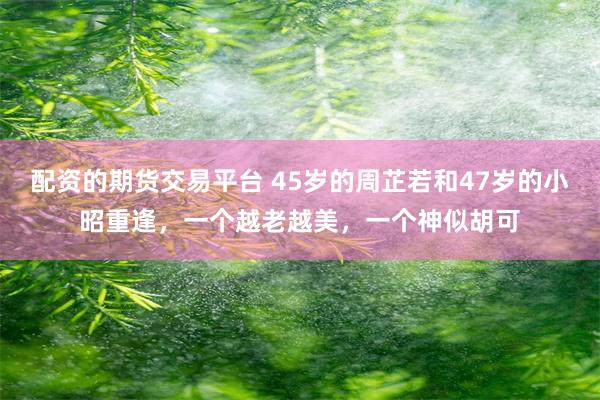 配资的期货交易平台 45岁的周芷若和47岁的小昭重逢，一个越老越美，一个神似胡可
