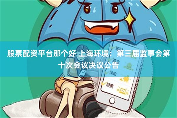股票配资平台那个好 上海环境：第三届监事会第十次会议决议公告
