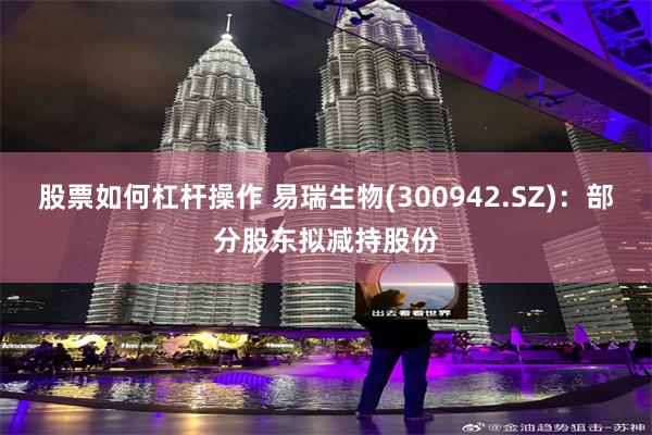 股票如何杠杆操作 易瑞生物(300942.SZ)：部分股东拟减持股份