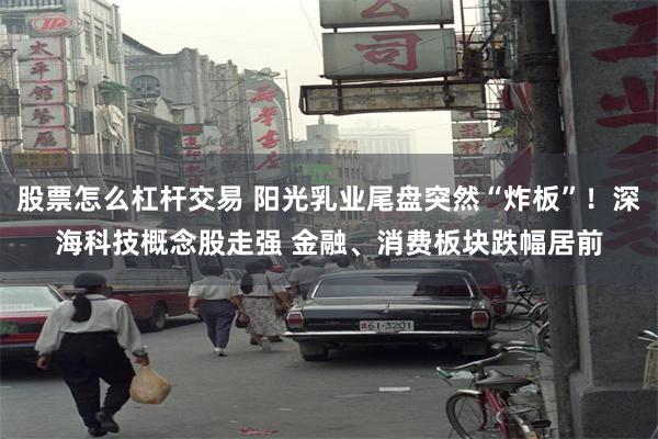 股票怎么杠杆交易 阳光乳业尾盘突然“炸板”！深海科技概念股走强 金融、消费板块跌幅居前