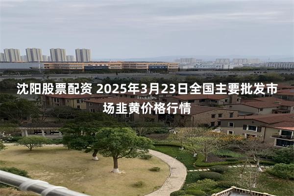 沈阳股票配资 2025年3月23日全国主要批发市场韭黄价格行情