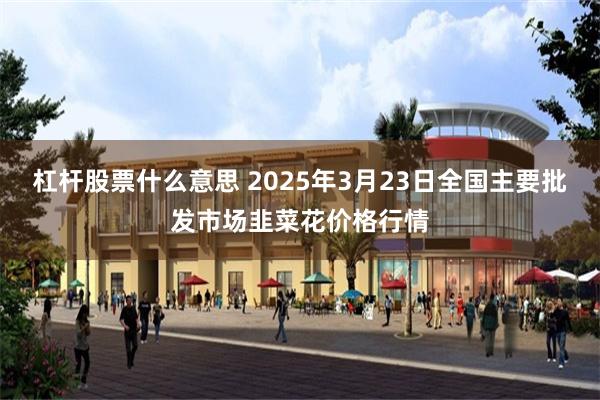 杠杆股票什么意思 2025年3月23日全国主要批发市场韭菜花价格行情