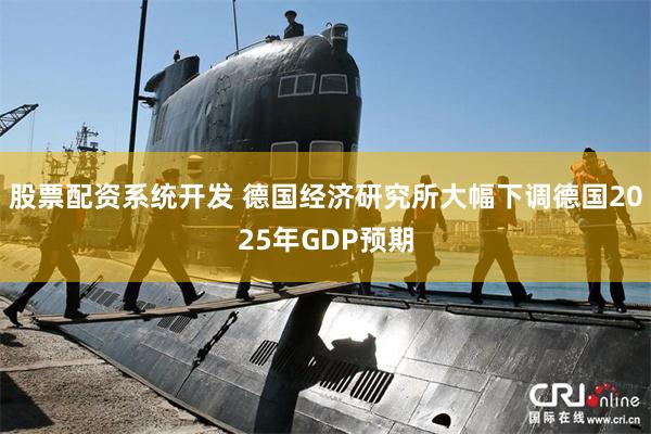 股票配资系统开发 德国经济研究所大幅下调德国2025年GDP预期