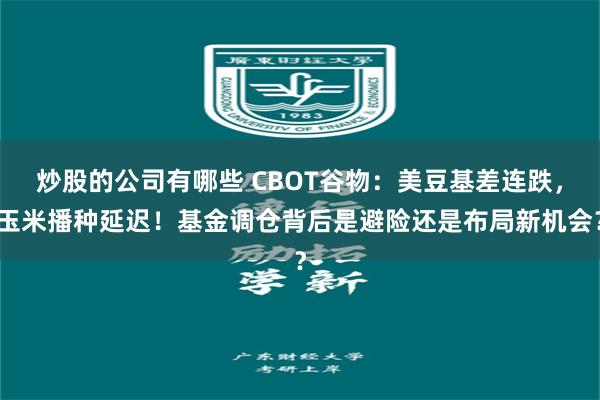炒股的公司有哪些 CBOT谷物：美豆基差连跌，玉米播种延迟！基金调仓背后是避险还是布局新机会？