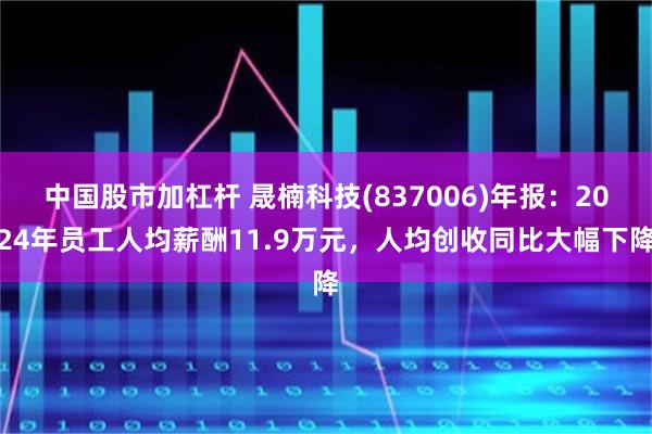 中国股市加杠杆 晟楠科技(837006)年报：2024年员工人均薪酬11.9万元，人均创收同比大幅下降