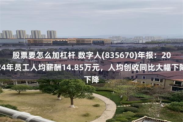 股票要怎么加杠杆 数字人(835670)年报：2024年员工人均薪酬14.85万元，人均创收同比大幅下降