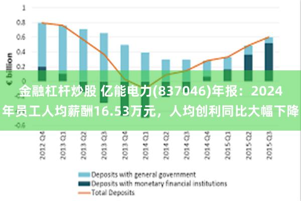 金融杠杆炒股 亿能电力(837046)年报：2024年员工人均薪酬16.53万元，人均创利同比大幅下降