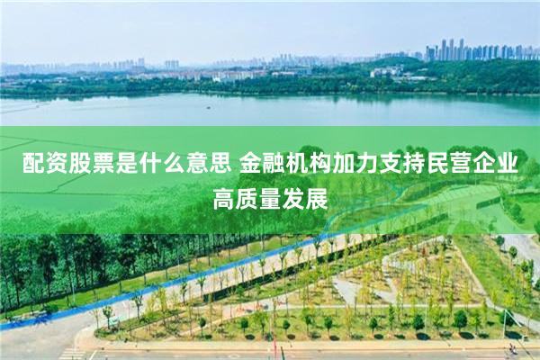 配资股票是什么意思 金融机构加力支持民营企业高质量发展