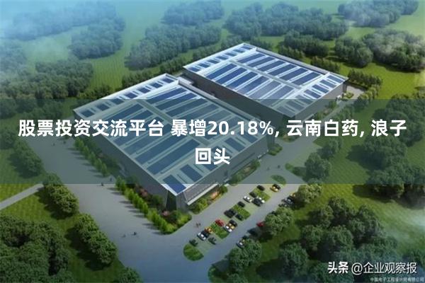 股票投资交流平台 暴增20.18%, 云南白药, 浪子回头