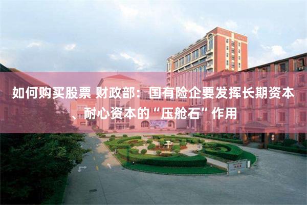 如何购买股票 财政部：国有险企要发挥长期资本、耐心资本的“压舱石”作用