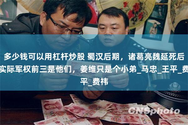 多少钱可以用杠杆炒股 蜀汉后期，诸葛亮魏延死后，实际军权前三是他们，姜维只是个小弟_马忠_王平_费祎