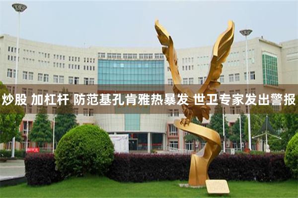 炒股 加杠杆 防范基孔肯雅热暴发 世卫专家发出警报