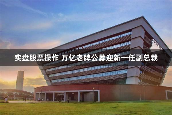 实盘股票操作 万亿老牌公募迎新一任副总裁