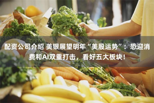 配资公司介绍 美银展望明年“美股运势”：恐迎消费和AI双重打击，看好五大板块！